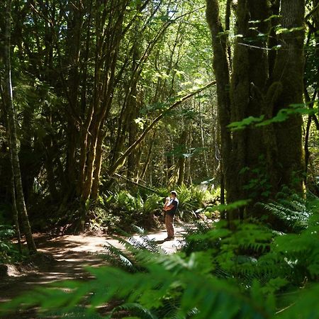 Olympic Glamping Hotell Port Angeles Eksteriør bilde