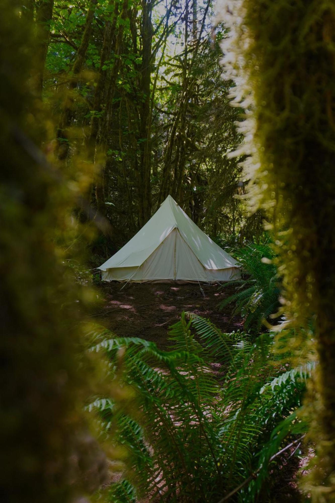 Olympic Glamping Hotell Port Angeles Eksteriør bilde