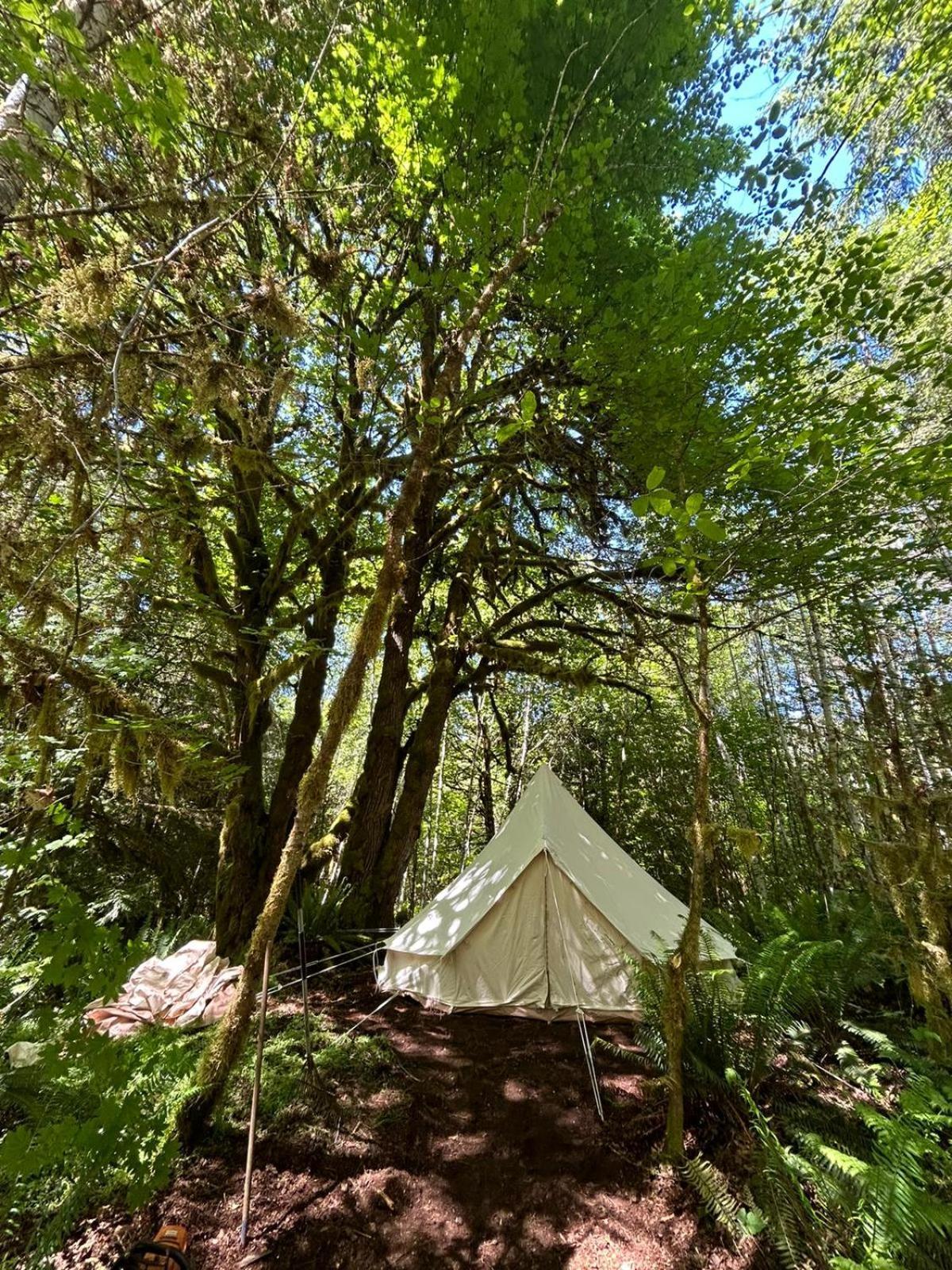 Olympic Glamping Hotell Port Angeles Eksteriør bilde